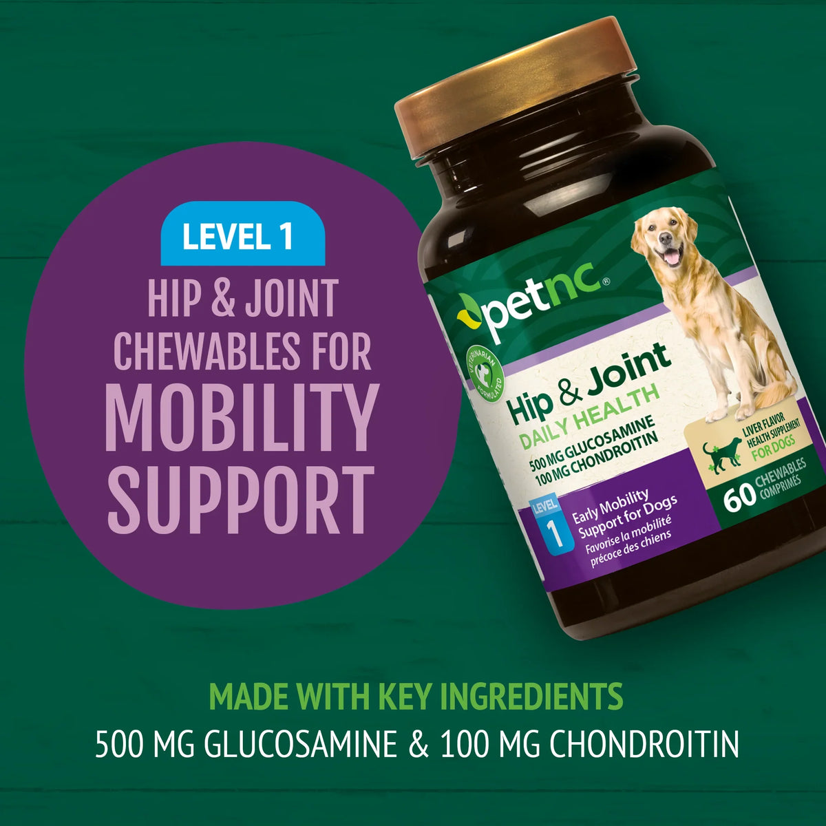 Hip & Joint Level 1
