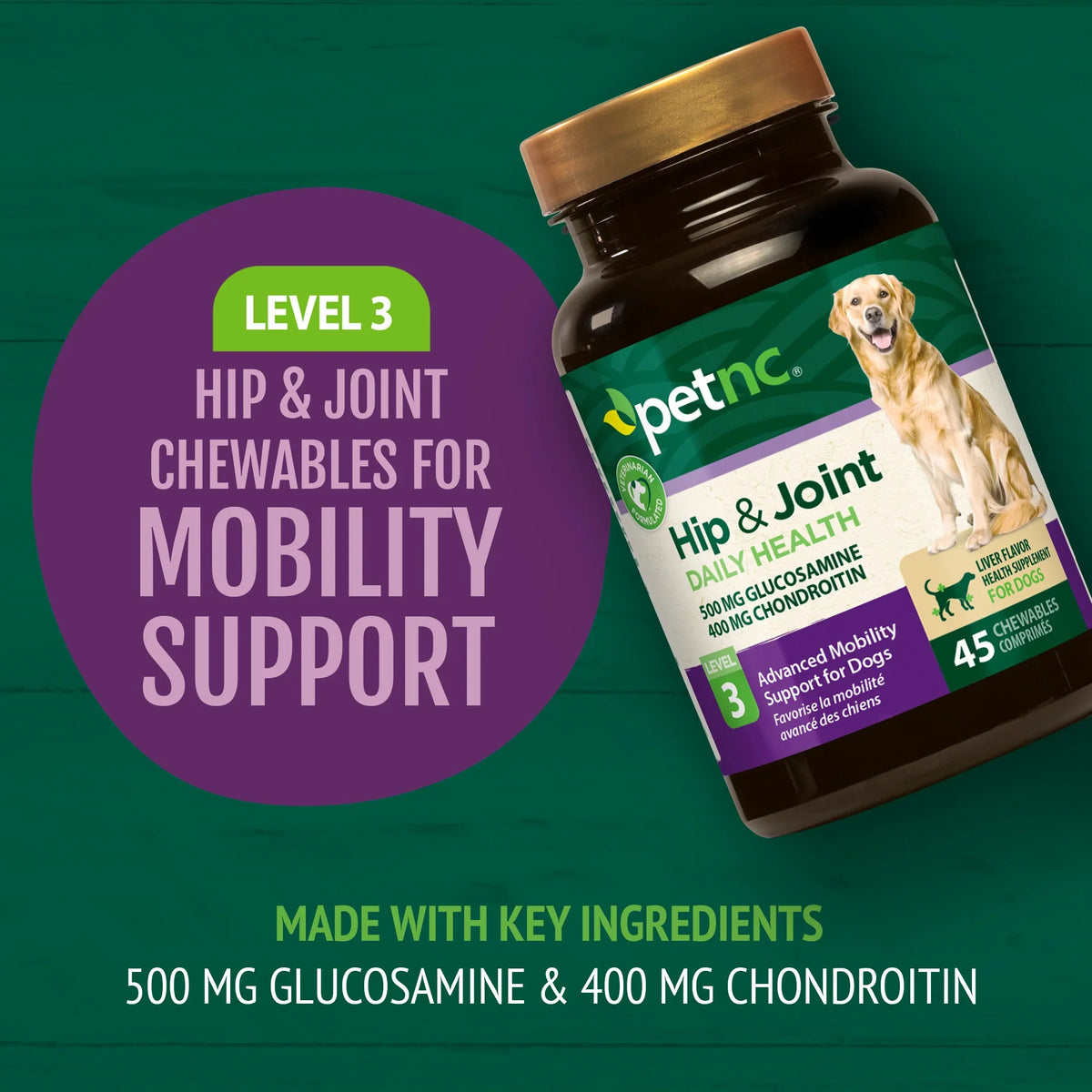 Hip & Joint Level 3