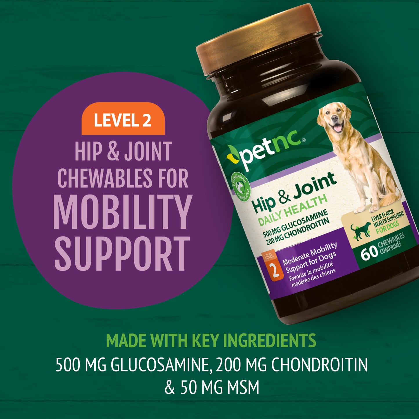 Hip & Joint Level 2