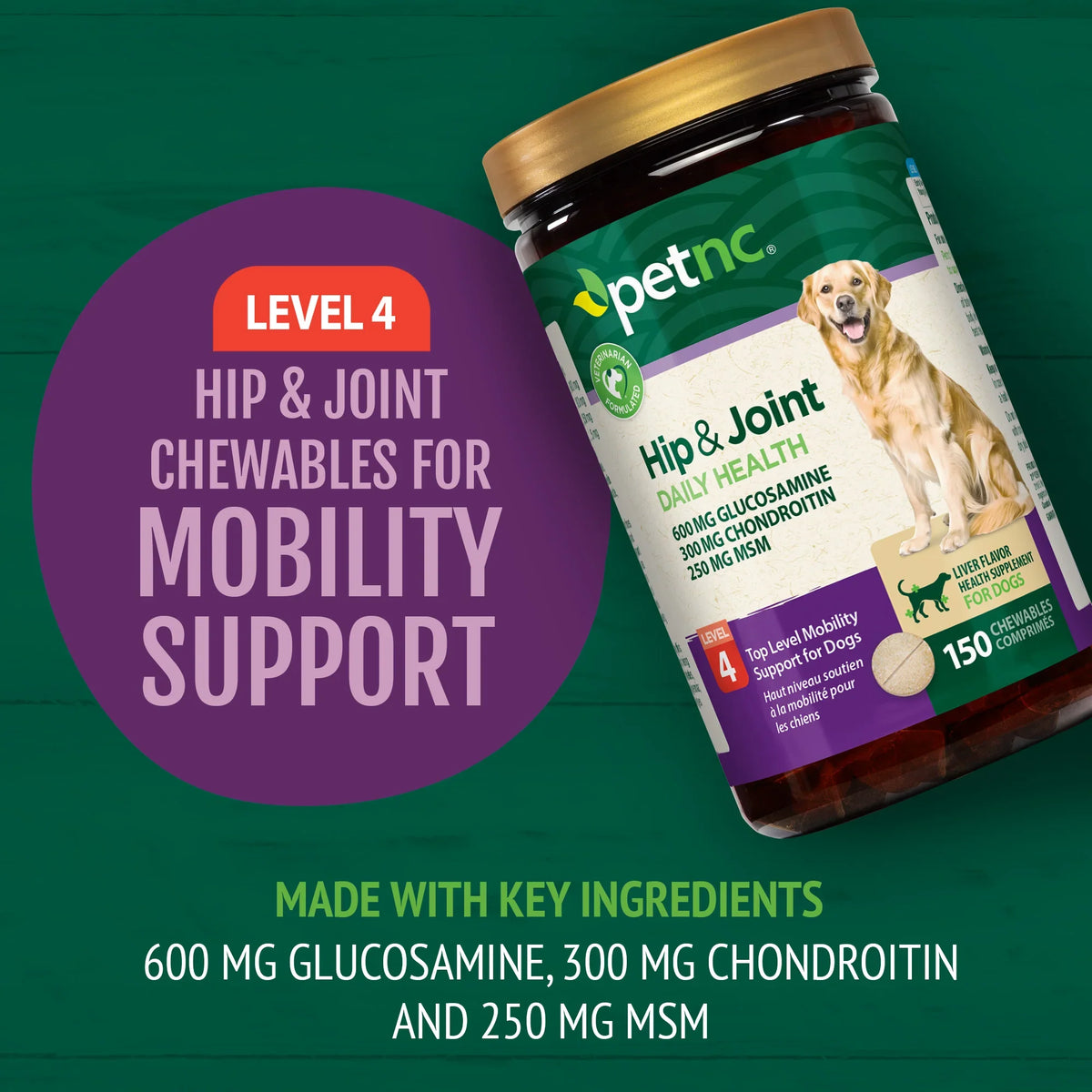 Hip & Joint Level 4