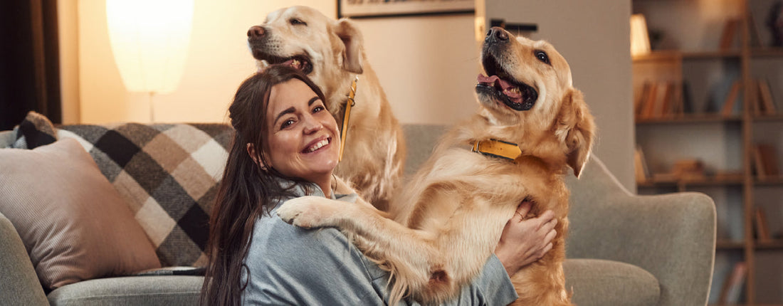What to Consider When Adding a Second Dog to Your Family