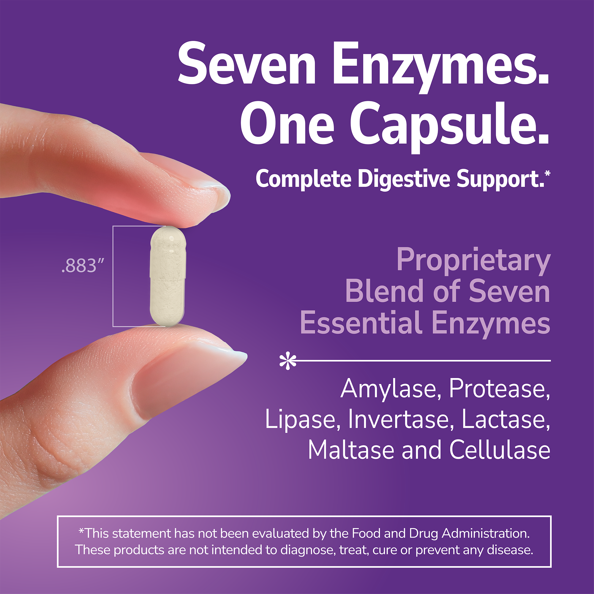 Digestive Enzymes Supplement | 21st Century Vitamins – 21st