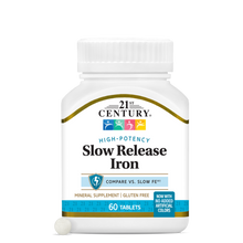 21st Century Slow Release Iron supplement product image
