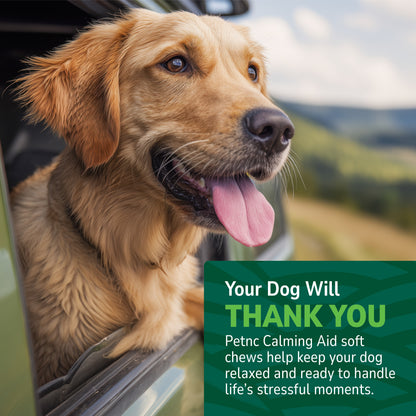 Calming Aid Soft Chews