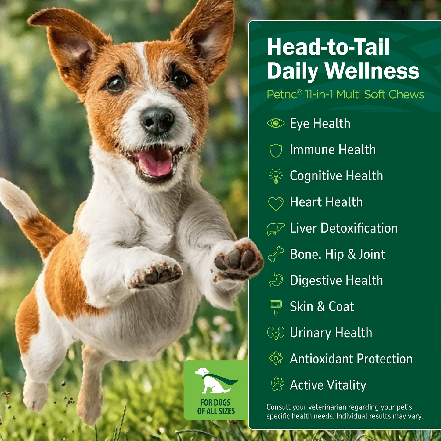 Dog jumping with text about product benefits on a green background