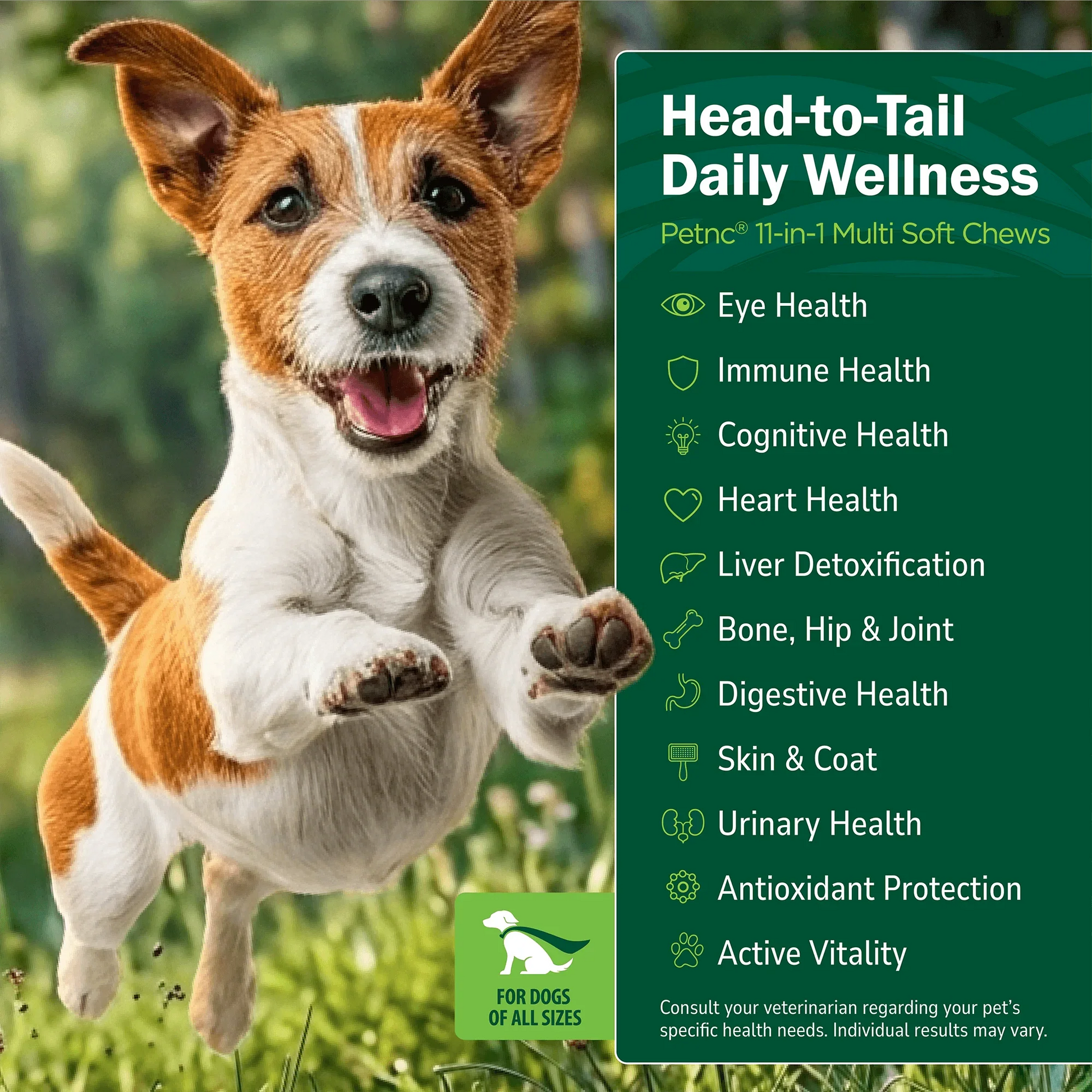 Dog jumping with text about product benefits on a green background