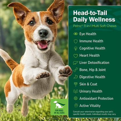 Dog jumping with text about product benefits on a green background