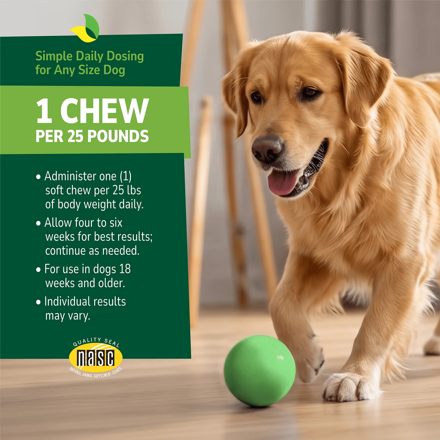 Dog playing with a ball indoors with a product advertisement overlay and product directions with NASC seal
