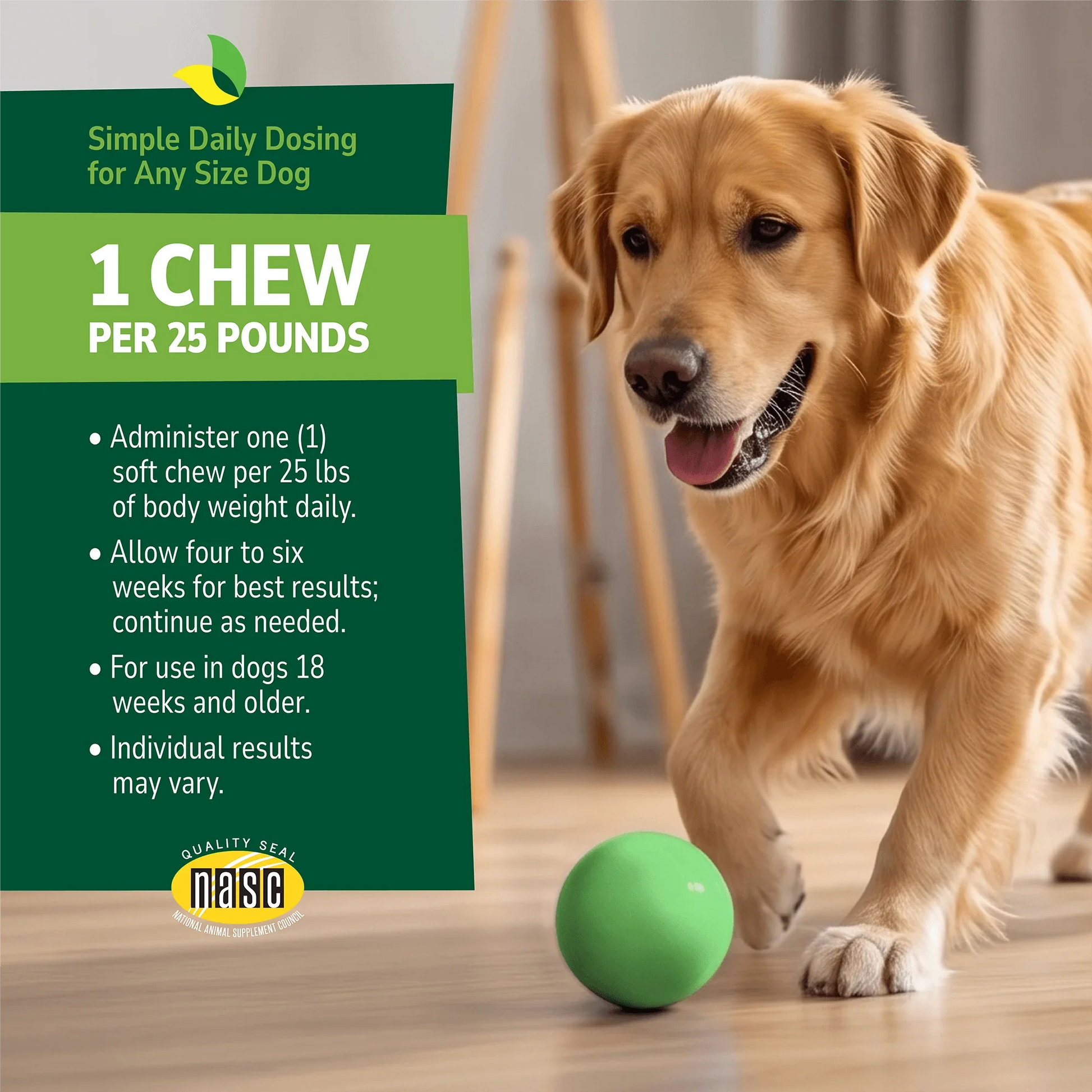 Dog playing with a ball indoors with a product advertisement overlay and product directions with NASC seal