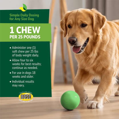 Dog playing with a ball indoors with a product advertisement overlay and product directions with NASC seal