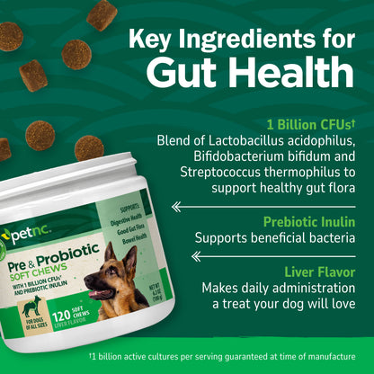 Pre & Probiotic Soft Chews