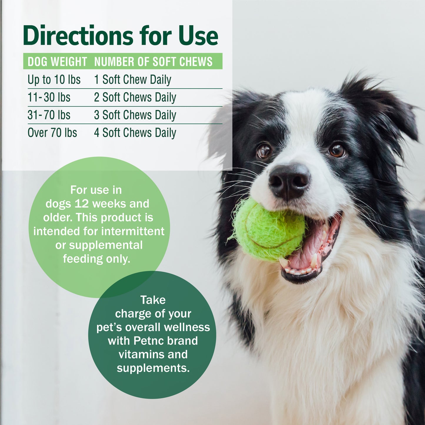 Pre & Probiotic Soft Chews