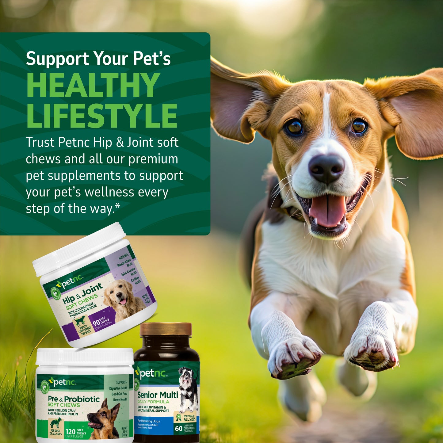 Pre & Probiotic Soft Chews