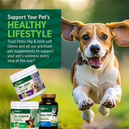 Pre & Probiotic Soft Chews