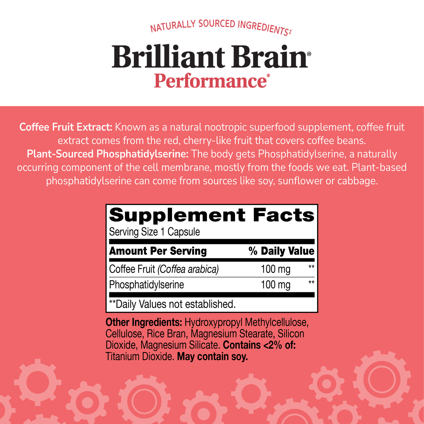 Cognitive Health Bundle