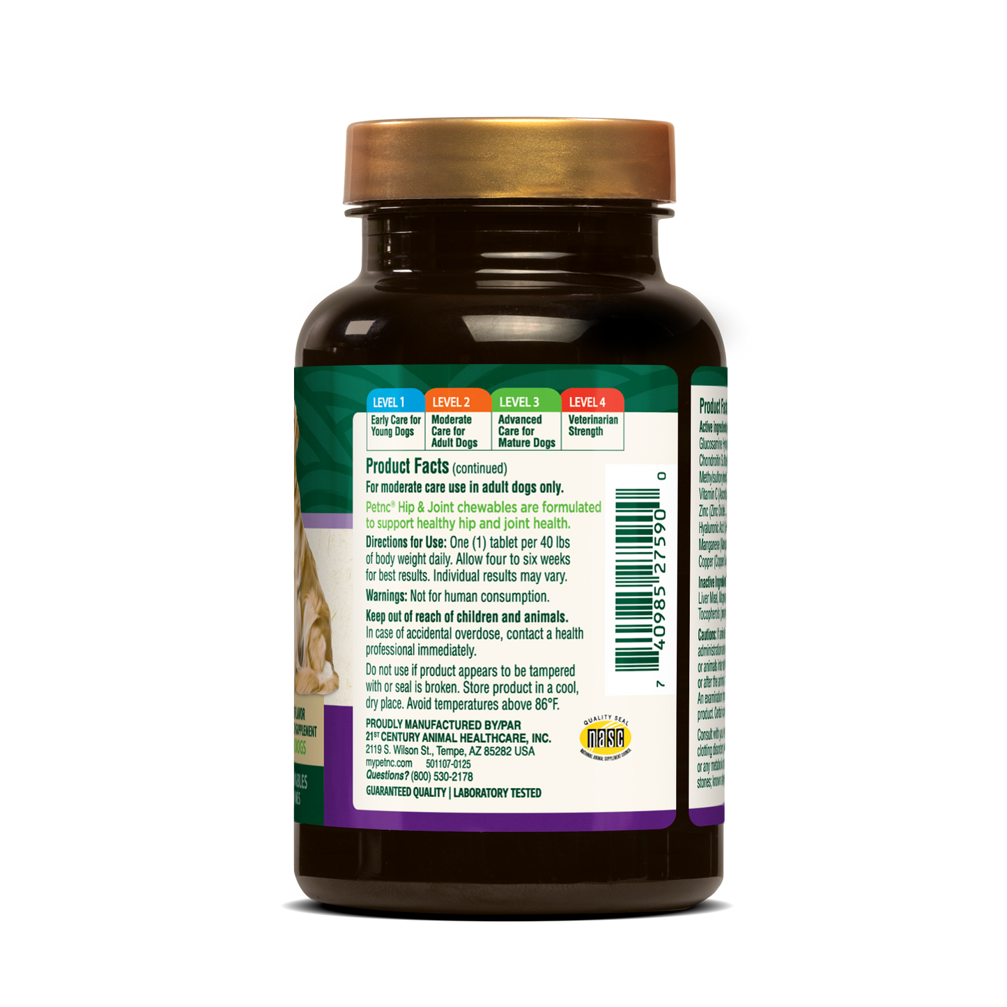 Hip & Joint Level 2 - Info Panel