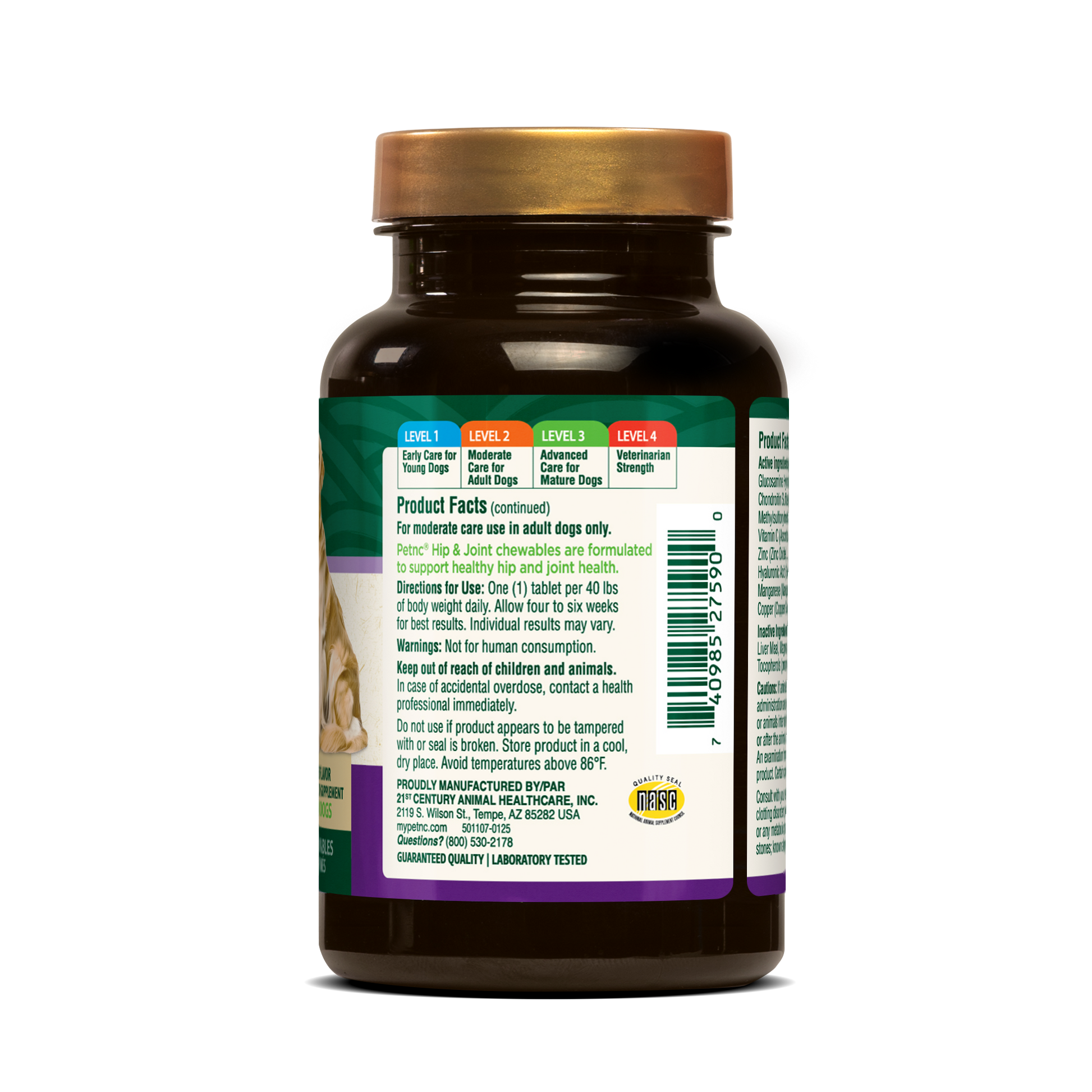 Hip & Joint Level 2 - Info Panel