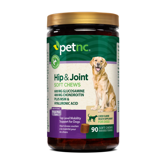 Hip & Joint Mega Soft Chews