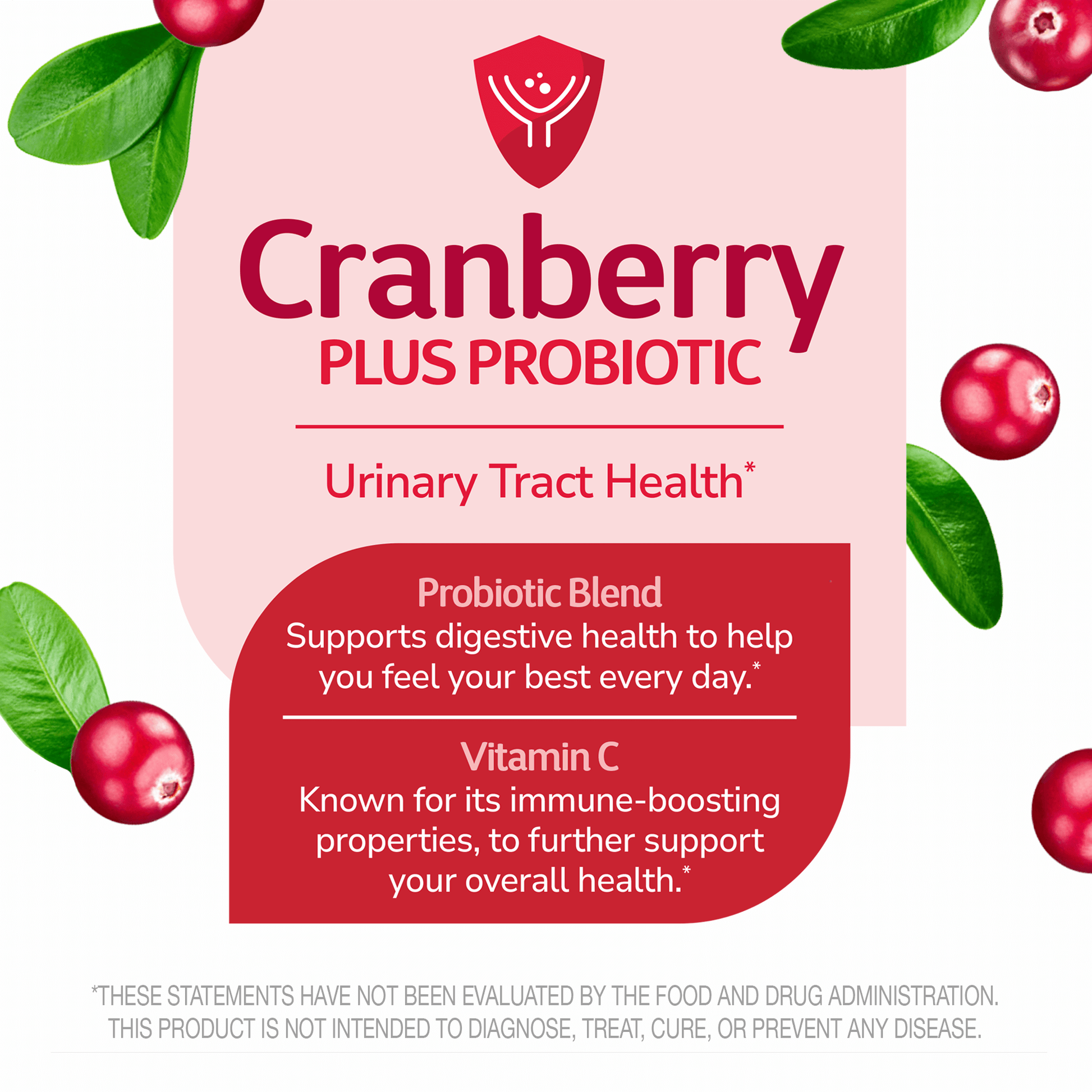 A graphic image with cranberries and cranberry leaves with the words cranberry plus probiotic, urinary tract health, probiotic blend supports digestive health to help you feel your best every day, and vitamin c known for its immune-boosting properties to further support your overall health.