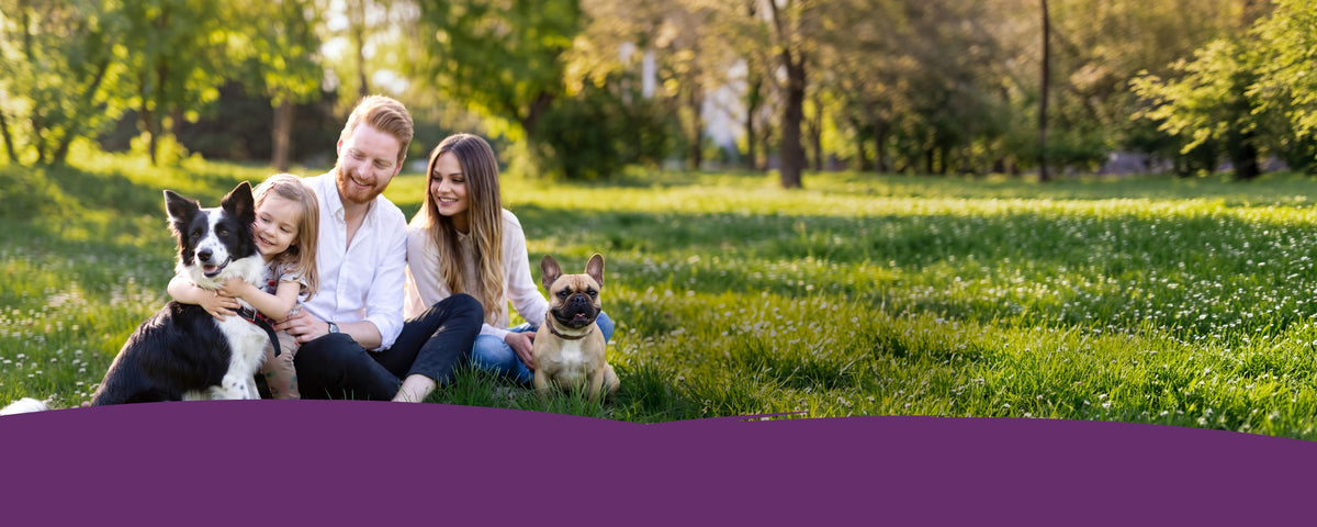 Family at the park playing with their dogs.
