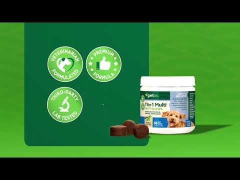 Petnc 11-in-1 Multi Soft Chews 