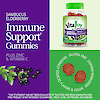 A graphic image with A bottle of 21st Century VitaJoy Sambucus Elderberry 100 mg per serving with vitamin c and zinc gummies, two gummies, elderberry fruit graphic and the words immune support gummies, plus zinc and vitamin c..