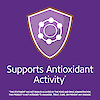 Supports antioxidant activity claim with digestive graphic icon.