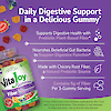 A bottle of VitaJoy Fiber Gummies with fiber gummy supplements coming out of the top, fruit images and the claims daily digestive support in a delicious gummy, supports digestive health with prebiotic plant-based fiber, nourishes beneficial gut bacteria to support digestive function, made with chicory root fiber, a natural prebiotic source and contains 5 g of fiber per 3 gummy serving.